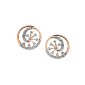 Rose Gold Earrings